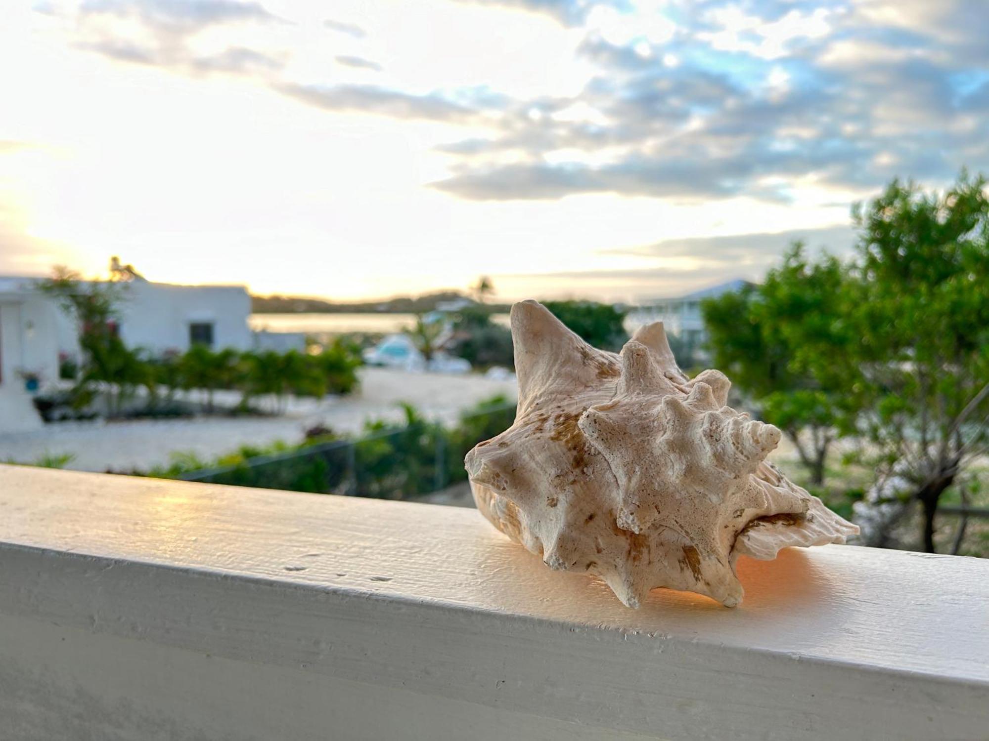 Flamingo House - Turks & Caicos Vila Turtle Cove Exterior foto